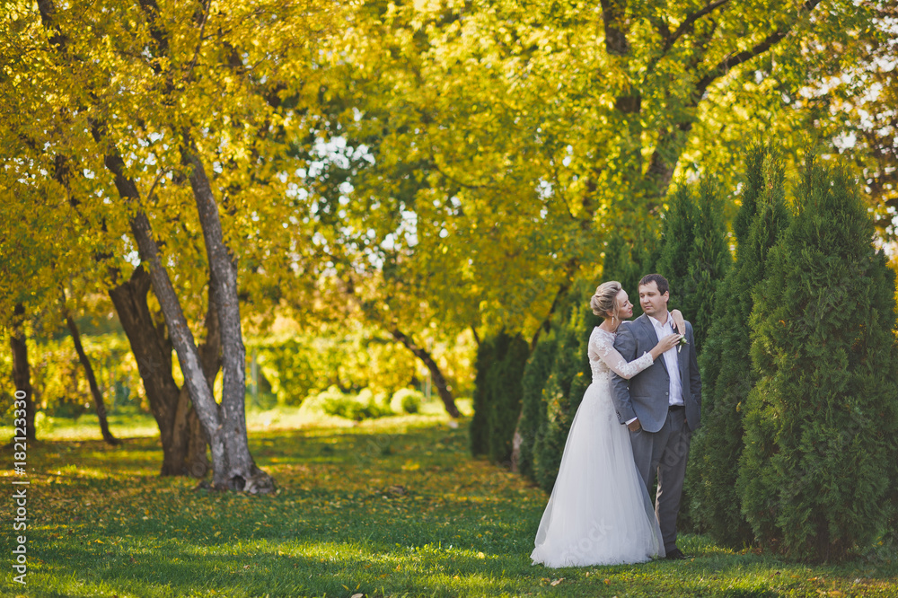 Portrait of young newlyweds around evergreen trees 389.