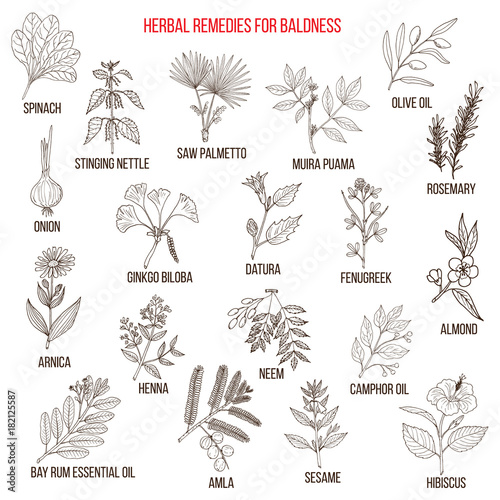 Herbal remedies for baldness