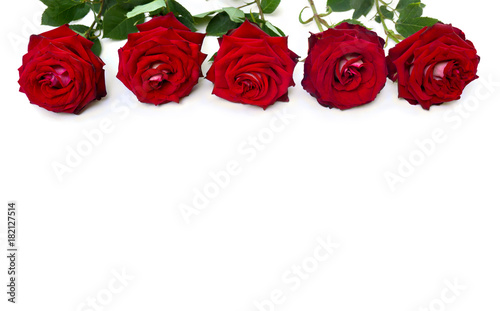 Fototapeta Naklejka Na Ścianę i Meble -  Red roses on a white background with space for text. Valentine decoration.