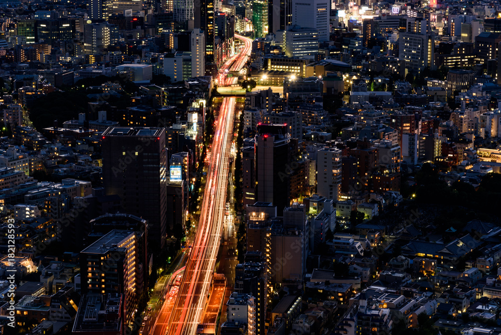 Obraz premium 東京・首都高速を走る自動車の光跡