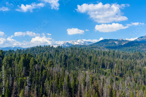 View from the Moro Rock - Hiking in Sequoia National Park, California, USA