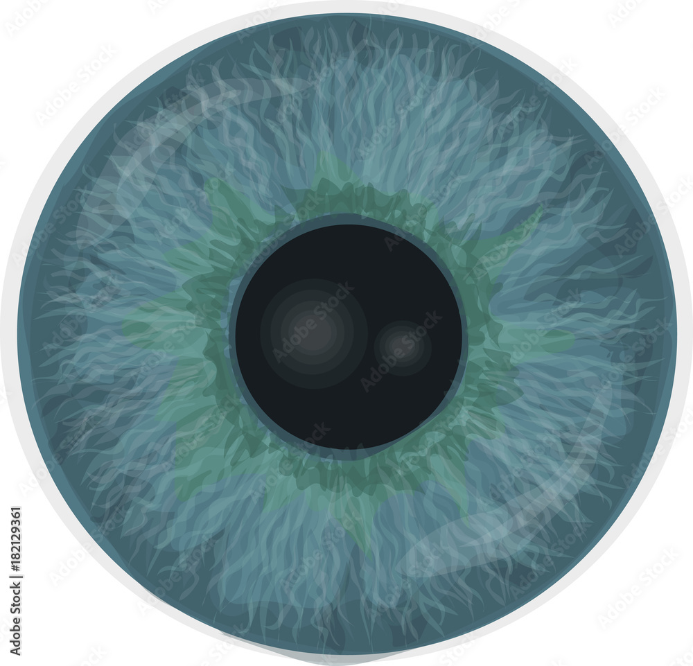 Eye iris - Realistic vector - Eye iris vector texture - Blue Stock ...