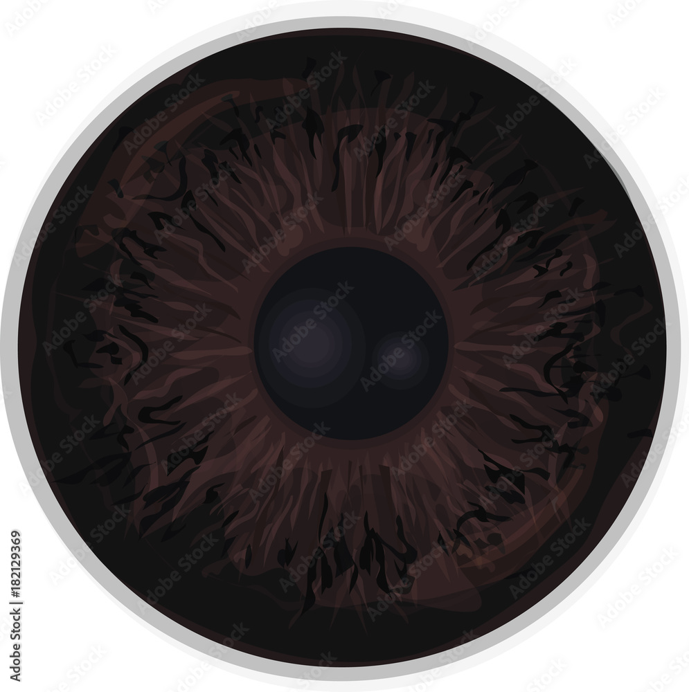 Eye iris Realistic vector Eye iris vector texture Dark Brown