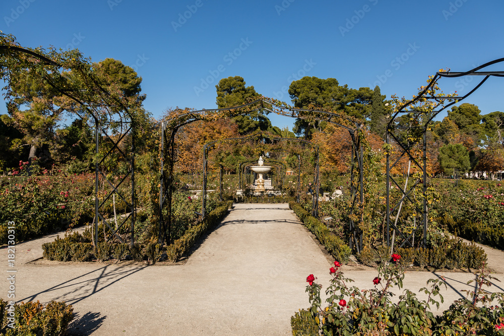 fountain in the rose garden of the Retiro Park in Madrid