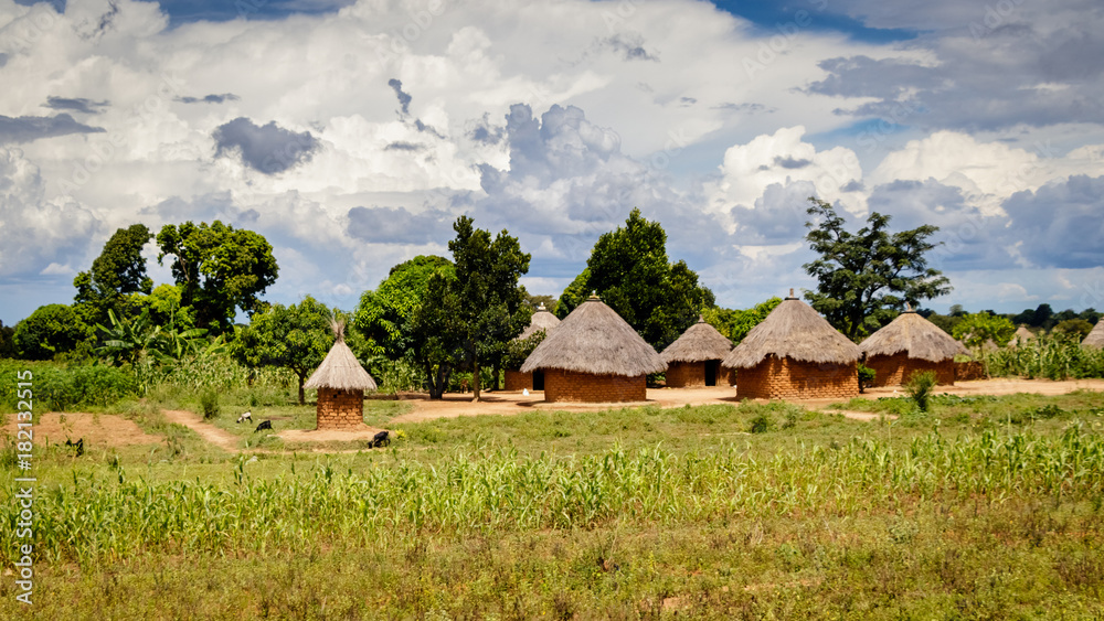 Typical Uganda huts. Most of the inhabitants live in thatched huts with mud and wattle walls. During the rainy season it is a very difficult task to keep huts stable and dry.