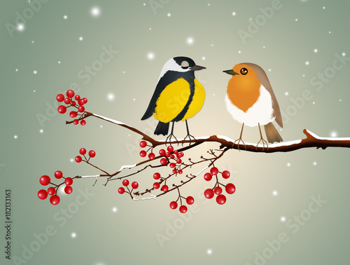 birds on braches