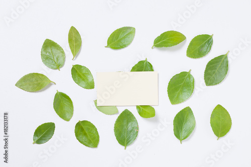 Blank card paper on Green leaves