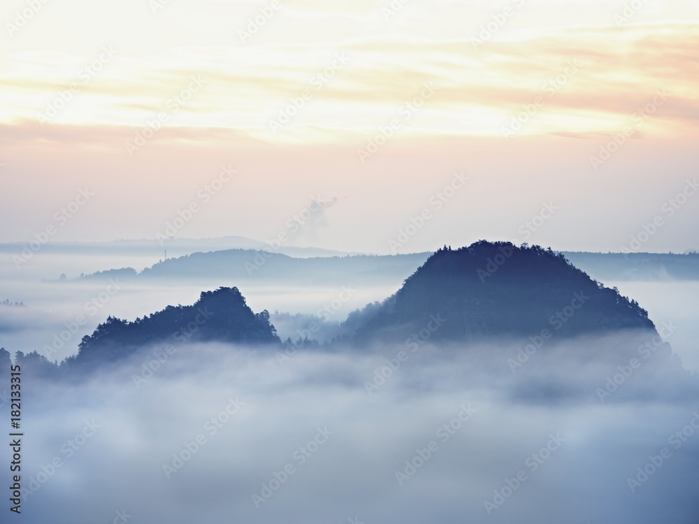 Dreamy landscape lost in thick fog. Fantastic morning glowing by gentle sunlight, foggy valley. Dreamy landscape lost in thick fog. Fantastic morning glowing by gentle sunlight, foggy valley.