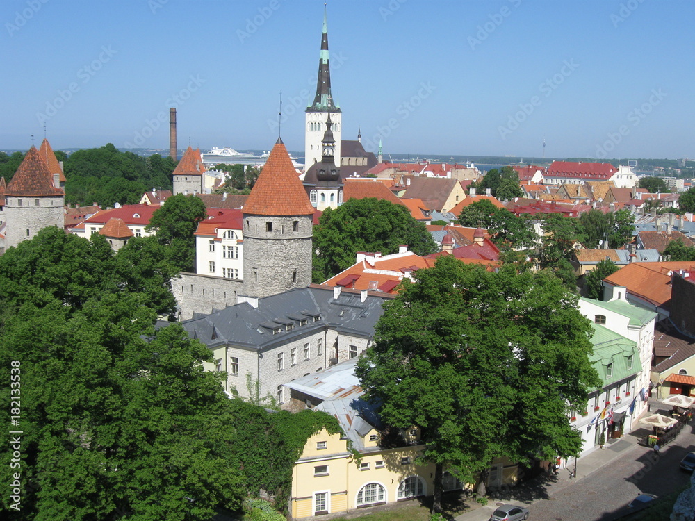 Fototapeta premium Architektura Tallina, Estonia