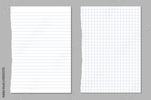 vector set of ripped sheets of lined and square paper