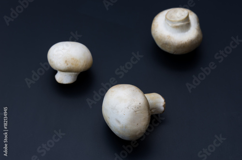 A composition of three mushrooms on a dark matte background.