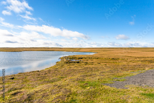 tundra landscape in Iceland in sunny september day