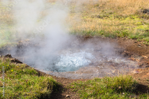 little geyser in Haukadalur valley in Iceland