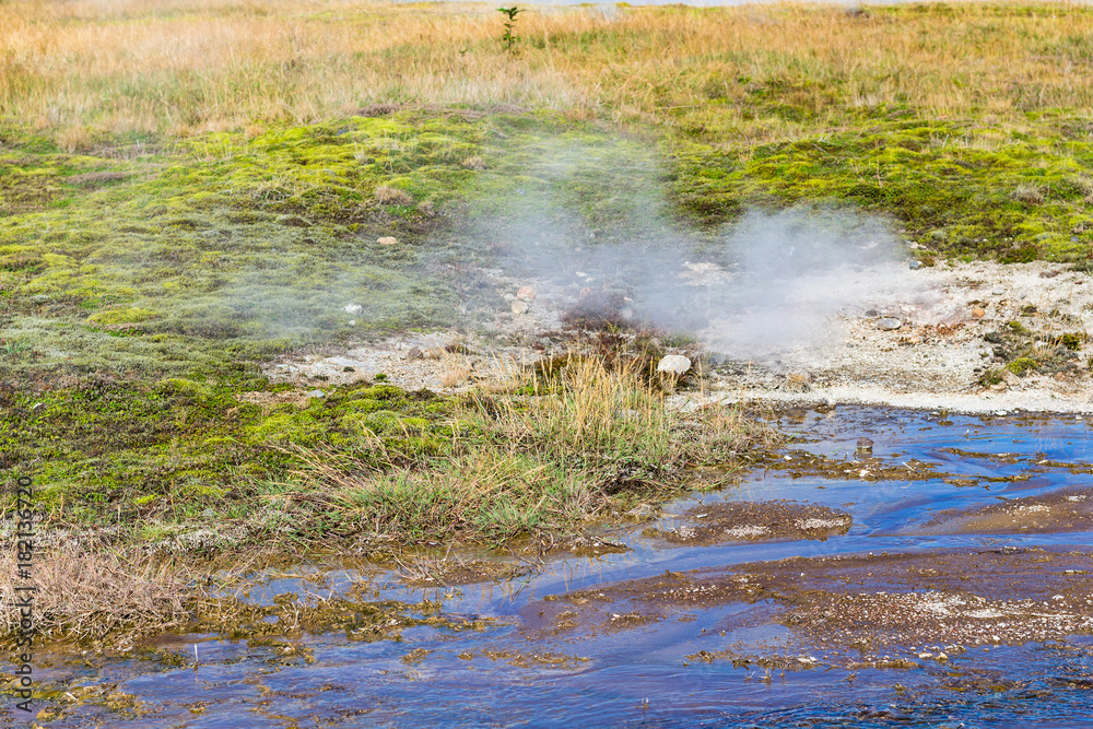 thermal spring in Haukadalur geyser valley