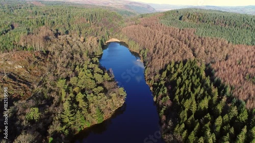 Aerial View Forest and Lake