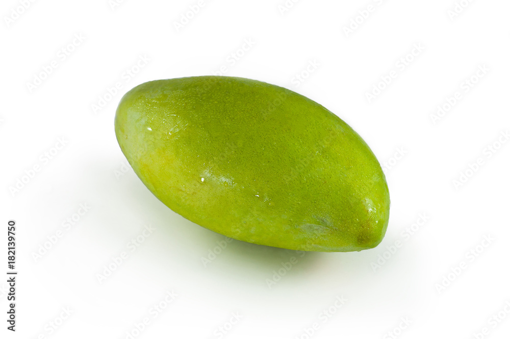 Fresh green mango on islolated background in vietnam asia Fresh green mango on islolated background in vietnam asia