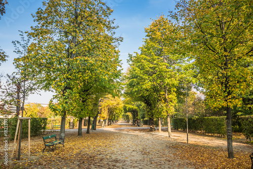 Augarten in Herbst in Wien photo