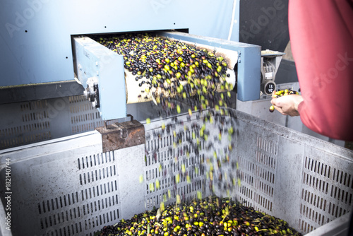 controllo delle olive