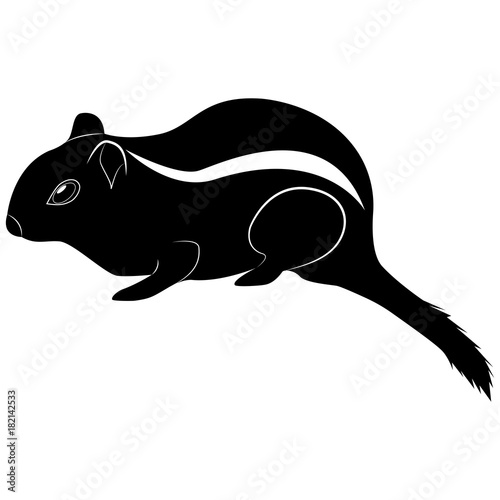 Vector image of chipmunk silhouette