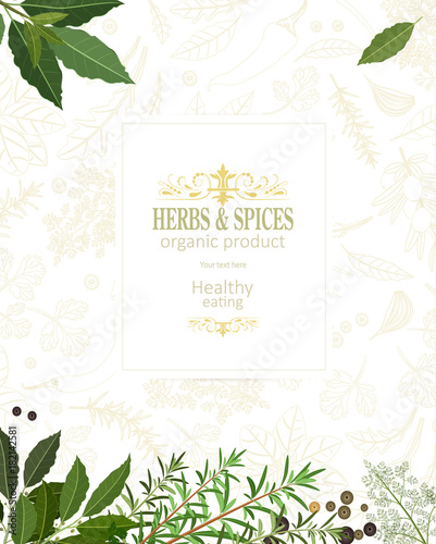 organic banner with fresh herbs and spices for your design