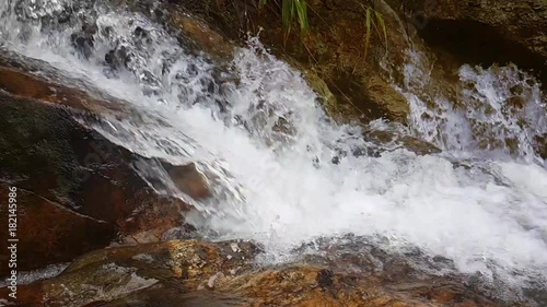 Slow motion drinking water in waterfall