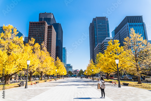 東京駅と行幸通りの銀杏並木 © oben901