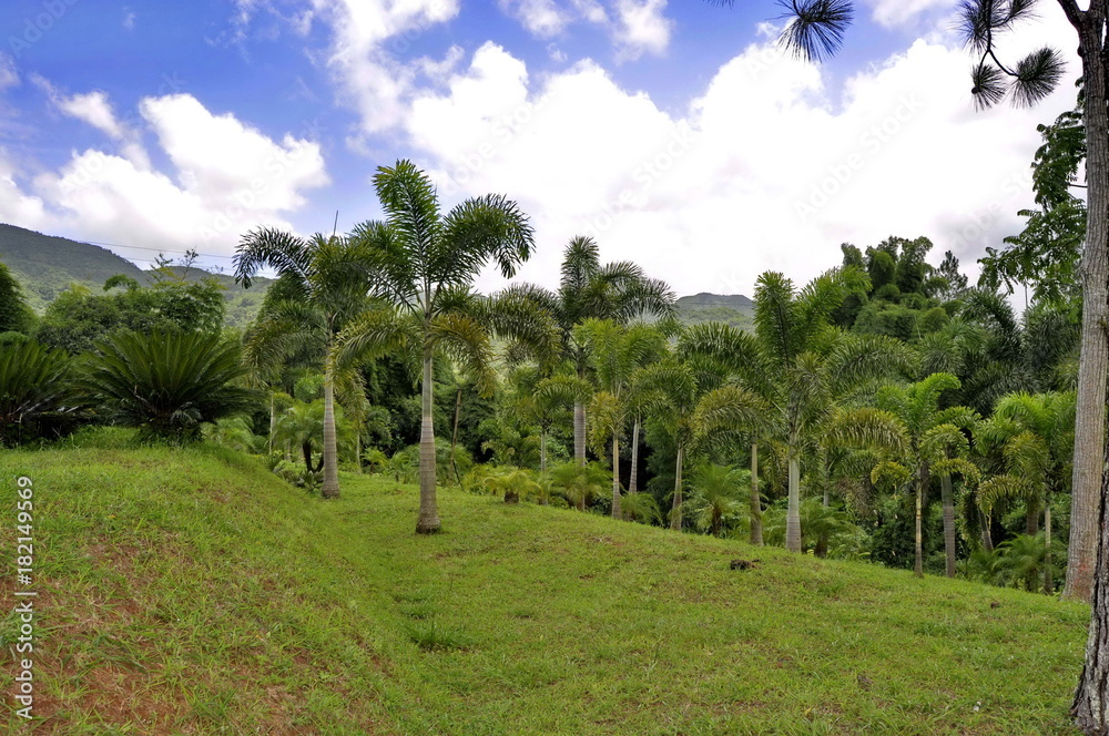 Croydon Plantation, Jamaica