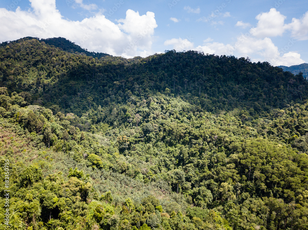 Aerial view of a tropical rainforest canopy and mountains Aerial view of a tropical rainforest canopy and mountains
