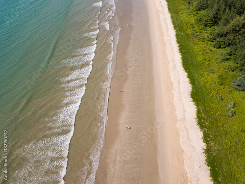 Aerial view of a deserted sandy beach surrounded by trees in the tropics