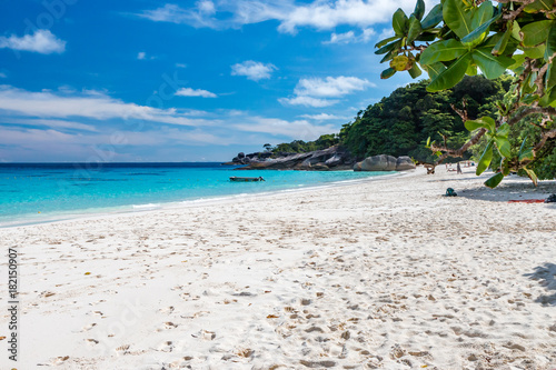 Fototapeta Naklejka Na Ścianę i Meble -  A tropical sandy beach in the Similan Islands, Thailand