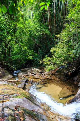 A small waterfall in a tropical rainforest  Ton Chong Fa  Thailand 