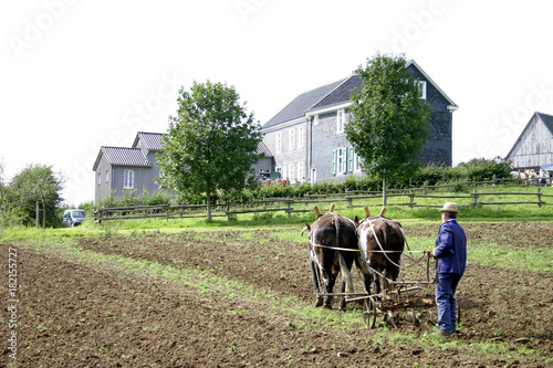 Feldarbeit auf einem Bauernhof
