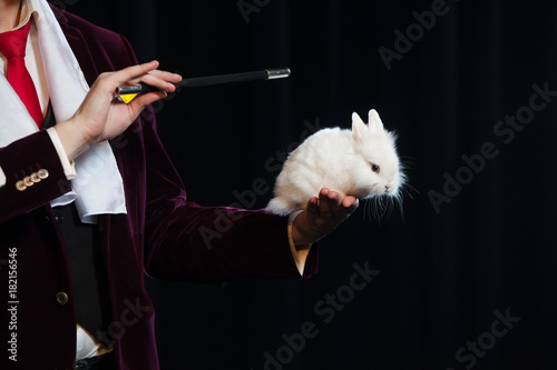 Magician with rabbit, Juggler man, Funny person, Black magic, Illusion on a black background photo