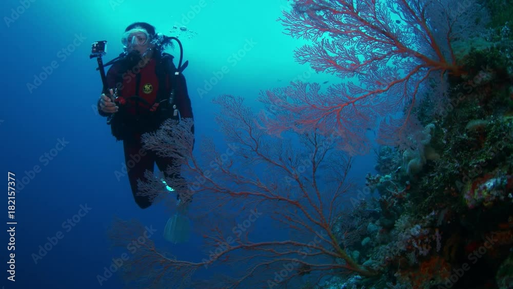 A diver with a gopro underwater camera swims in a colorful coral reef, Slow motion, Indonesia, Wakatobi,Nov 2017