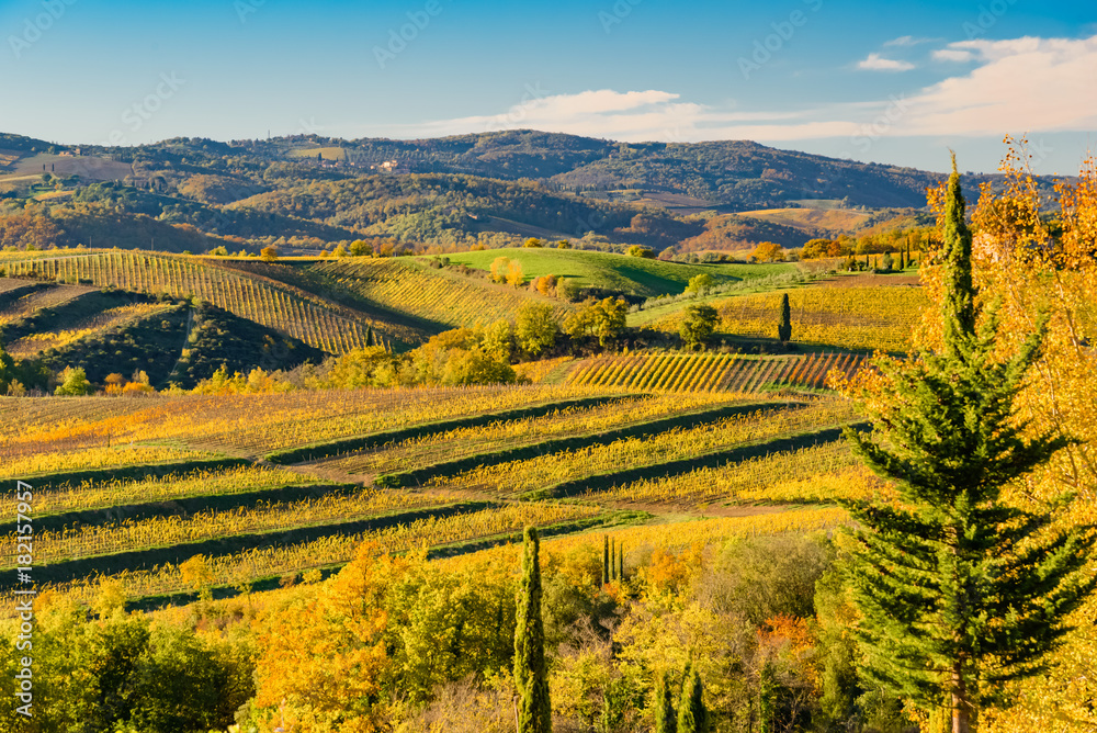Fototapeta premium sunset over the chianti hills in autumn in province of Siena Tuscany Italy...