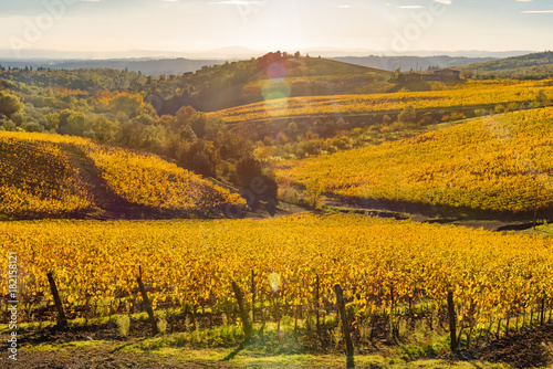 sunset over the chianti hills in autumn in province of Siena Tuscany Italy...