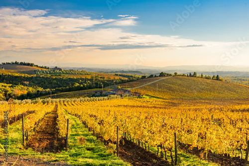 sunset over the chianti hills in province of Siena Tuscany Italy