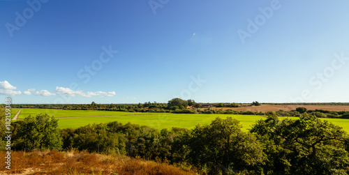 View across big green rice plantation in Santerem, Setubal, Portugal. Taken on a hot, sunny July afternoon. Panorama.