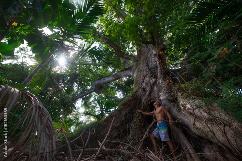 Muscular man standing looking at giant big tree in Nassau. Bahamas