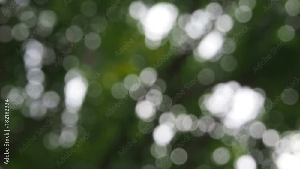 Abstract bokeh lights. Abstract nature background