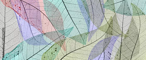 Obraz Tekstury szczegółów suchego liścia