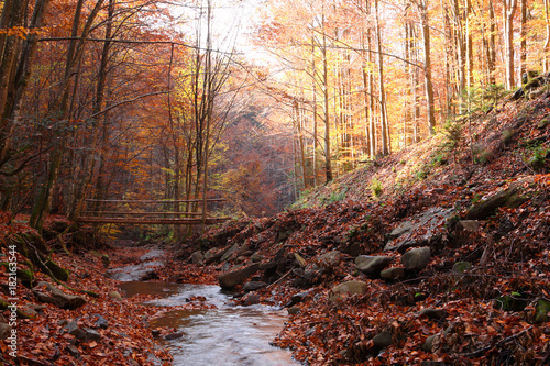 Bridge through the creek in the autumn forest.