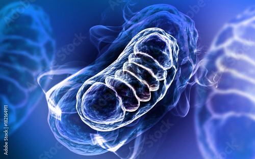 3d rendered Digital illustration of Mitochondria in colour background photo