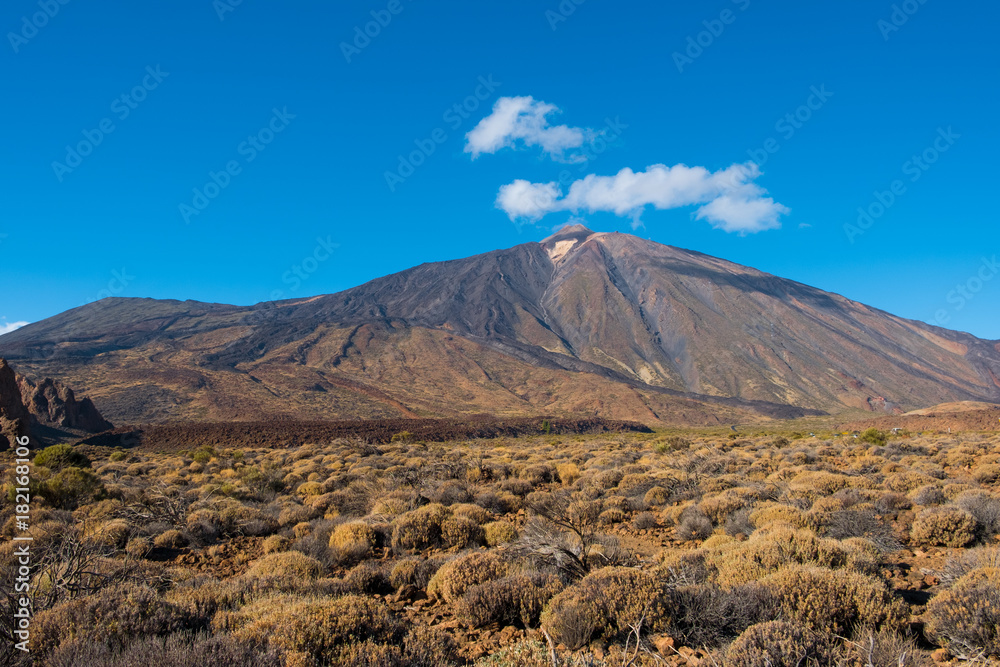 Pico del Teide, mountain landscape, Tenerife , Canary Islands