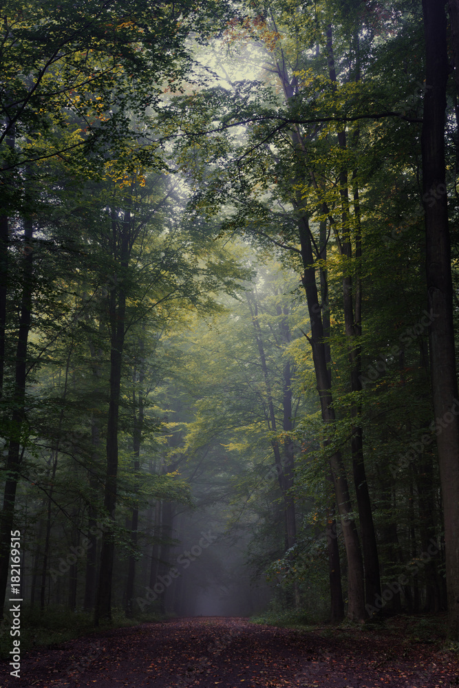 Fototapeta premium Into the void