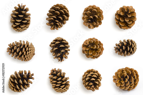 Pine cones set isolated on white photo