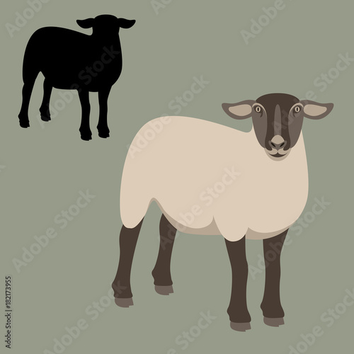sheep young flat style vector illustration profile view silhouette