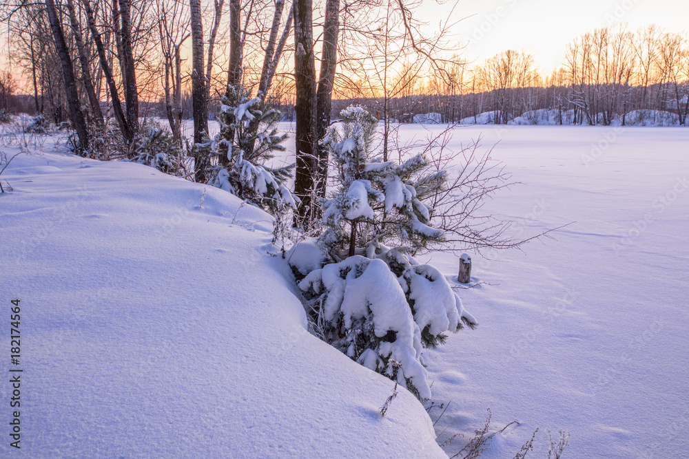 Snowy frozen landscape of sunrise on lakeside with trees
Snowy frozen landscape of sunrise on lakeside with trees