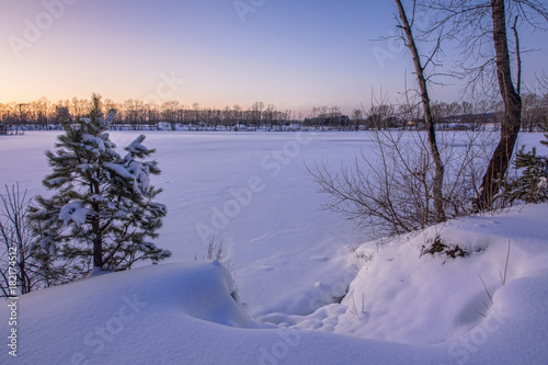 Snowy and sunny landscape with trees 