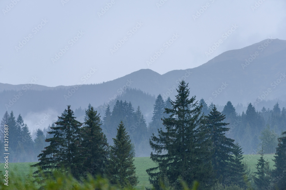 mountain area view in slovakia